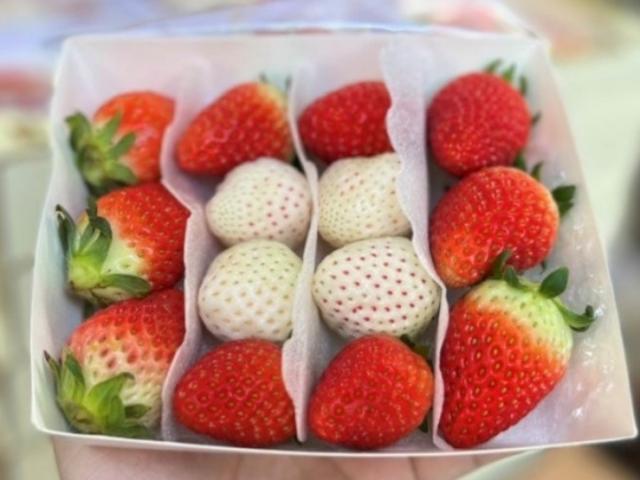 Thị trường - Tiêu dùng - Loại quả tưởng đã tuyệt chủng, người Việt đem trồng hốt bạc đầy tay