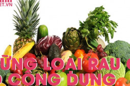 Ẩm thực - Những loại rau củ có công dụng như lá chắn của cơ thể, chống lại được nhiều loại virus, vi khuẩn