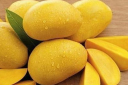 Sức khỏe đời sống - Những đại kỵ khi ăn xoài nhất định phải nhớ kẻo "tích độc dược" vào người