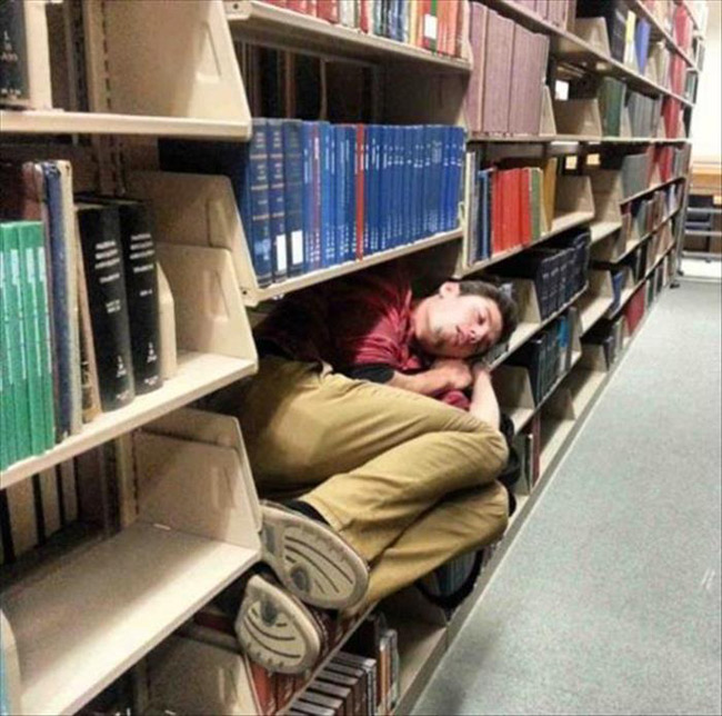 Vào thư viện ngủ vẫn là yên tĩnh nhất.
