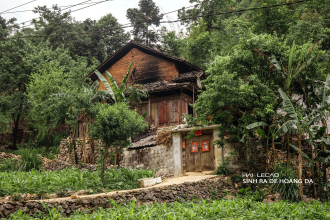 Wild trip to Ha Giang of a couple passionate about travel - 4