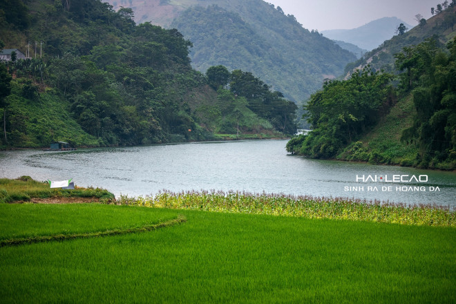 Wild trip to Ha Giang of a couple passionate about travel - 9