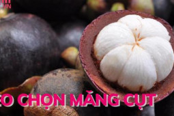 Ẩm thực - Mẹo chọn măng cụt 10 quả ngon cả 10