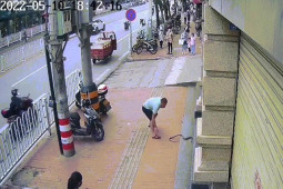 Phi thường - kỳ quặc - Video: Rùng mình cảnh người đàn ông tay không thản nhiên vừa bắt rắn vừa gọi điện thoại