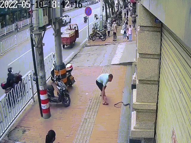 Phi thường - kỳ quặc - Video: Rùng mình cảnh người đàn ông tay không thản nhiên vừa bắt rắn vừa gọi điện thoại