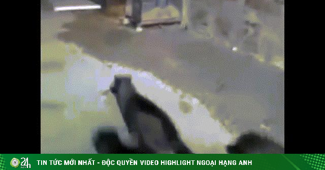 Video: Người đàn ông bị 5 con chó sói tấn công, cắn xé và cái kết bất ngờ