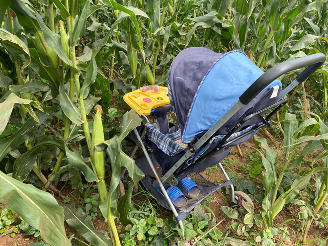 Một số vật dụng của chị T. được tìm thấy ở ven sông Thái Bình.