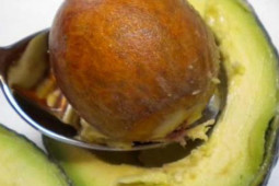 Ẩm thực - Ăn bơ tuyệt đối không làm điều này, nếu vẫn dùng mẹo vặt này chẳng mấy mà hỏng nội tạng, hại gan thận và suy giảm trí nhớ