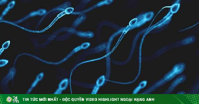 How long can sperm survive outside after ejaculation? -Life Health