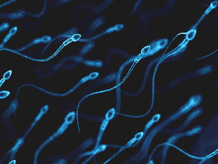 How long can sperm survive outside after ejaculation?  - 5
