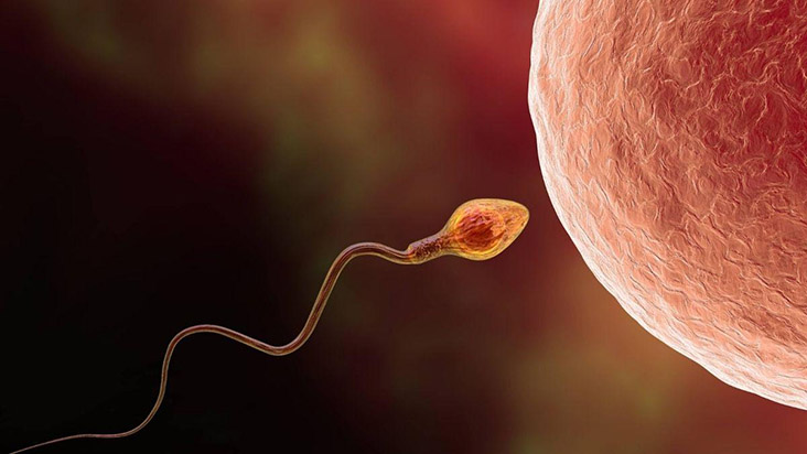 How long can sperm survive outside after ejaculation?  - 4