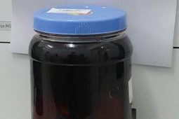 Sức khỏe đời sống - Hôn mê, tổn thương não do uống rượu ngâm rễ cây rừng