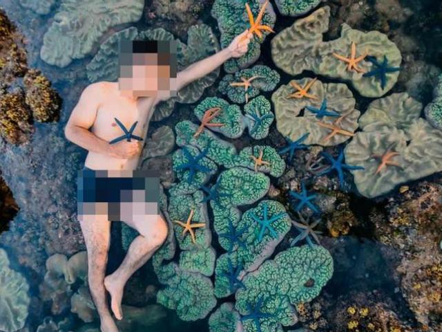 Bạn trẻ - Cuộc sống - Nam thanh niên nằm lên rạn san hô, vớt sao biển để chụp ảnh bị dân mạng chỉ trích dữ dội