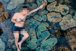 Bạn trẻ - Cuộc sống - Nam thanh niên nằm lên rạn san hô, vớt sao biển để chụp ảnh bị dân mạng chỉ trích dữ dội