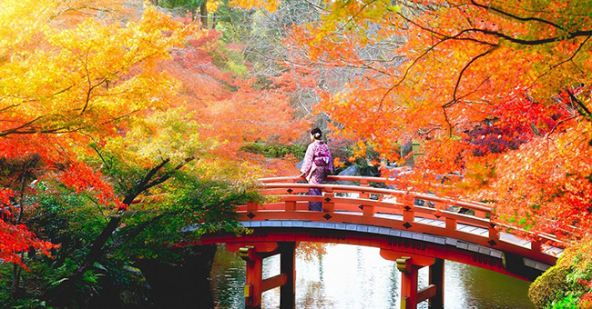 Mùa thu từ tháng 9 đến tháng 11 là mùa lá đỏ (momiji) thường bắt đầu vào tháng 10, khung cảnh đầy lãng mạn.
