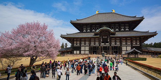Ở Nhật Bản, có rất nhiều mùa lễ hội và mùa du lịch, mỗi mùa có một nét khác nhau, tất cả đều rất hấp dẫn đối với du khách. Hình ảnh ngôi đền odai-ji, Nara thâm nghiêm trong sắc đỏ của cây hoa anh đào. 
