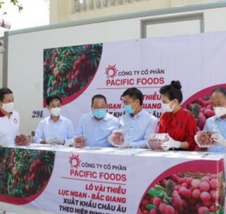 Khi những lô vải thiều đầu tiên từ Việt Nam &#34;cập bến&#34; châu Âu, công ty xuất nhập khẩu nông sản Vinamex Belgium đã nhập luôn 500kg để bán thử.&nbsp;
