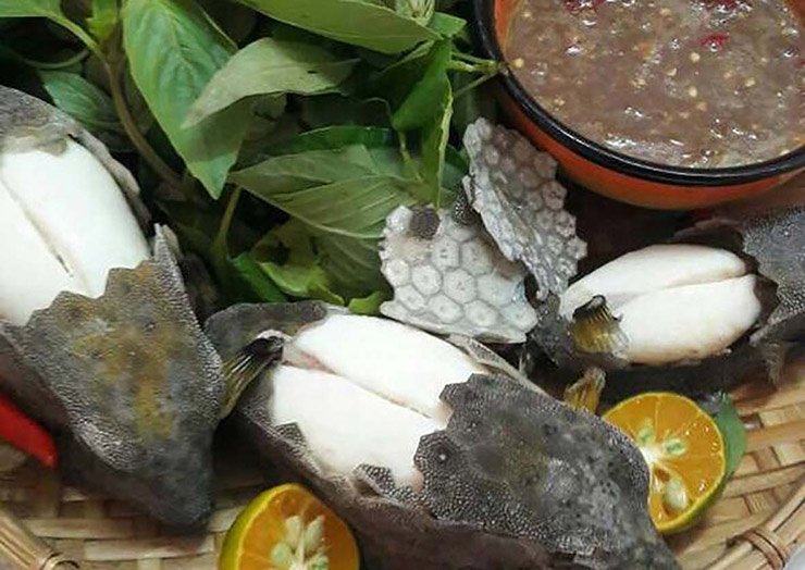 Loài cá này là một đặc sản nổi tiếng của vùng biển Vĩnh Rô ở Phú Yên
