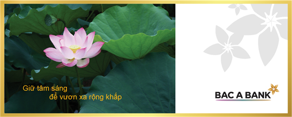 Lãi thấp vay nhanh từ Bac A Bank, khách hàng cá nhân đón cơ hội kinh doanh khởi sắc - 2