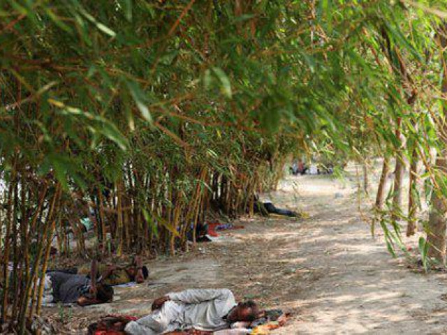 Thế giới - Con người tự tạo ra "khủng hoảng sự sống"