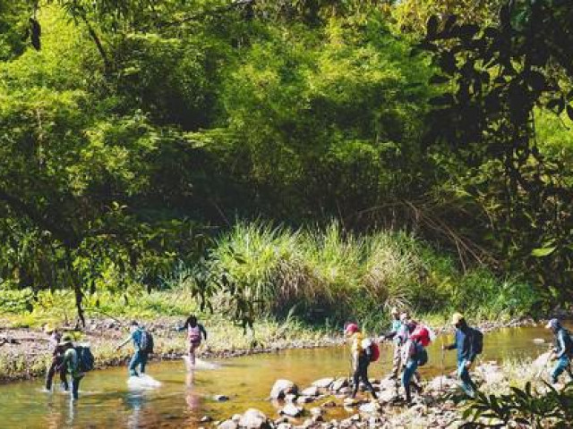 Du lịch - Nhiều bạn trẻ tại TP. HCM chọn 'trekking' gần thành phố