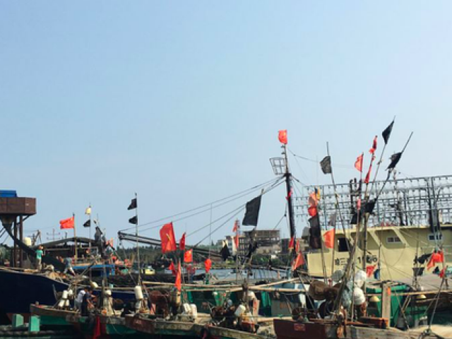 Thế giới - 'Bộ tứ' sắp công bố sáng kiến đối phó đội tàu đánh bắt trái phép Trung Quốc