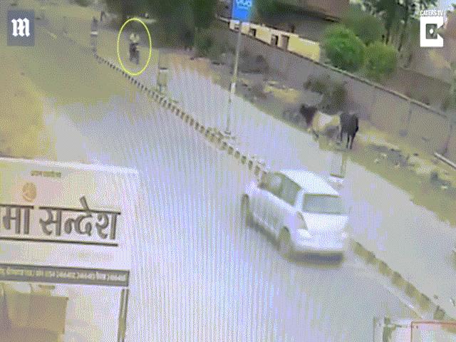 Video: Người đàn ông đi xe máy bị ”bò điên” hạ gục