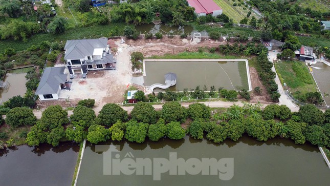 Tuy nhiên, khi TP Hải Phòng chưa hoàn thành việc giải thể doanh nghiệp này thì hàng loạt cựu cán bộ, công nhân viên công ty chuyển nhượng đất cho người ngoài quản lý, sử dụng đất nông nghiệp không đúng mục đích.