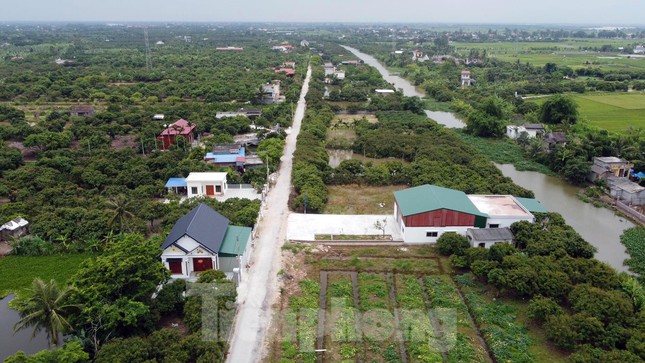 Nông trường Quý Cao , thuộc địa phận các xã Đại Thắng, Tiên Cường (huyện Tiên Lãng, TP Hải Phòng) rộng hơn 122ha với nhiệm vụ trồng cây ăn quả, chăn nuôi và sản xuất nông nghiệp.