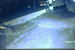 Phi thường - kỳ quặc - Video: Hung dữ lao vào tóm sống bê con, sư tử lại sợ hãi bỏ chạy khi đụng "chiếc gậy thần kỳ"