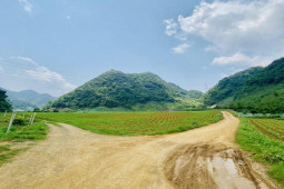 Pháp luật - Chuyên án giải cứu cháu bé bị bắt cóc và hành trình truy tìm "bóng ma" (P1): Vụ mất tích bí ẩn