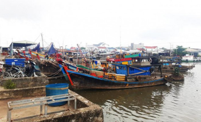 Giá xăng dầu tăng cao, nhiều tàu cá phải "nằm bờ" tại cảng Định An.