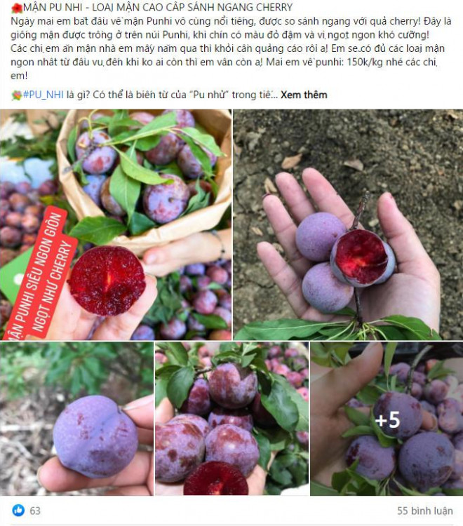"Mận cherry" được rao bán rầm rộ trên các trang chợ mạng
