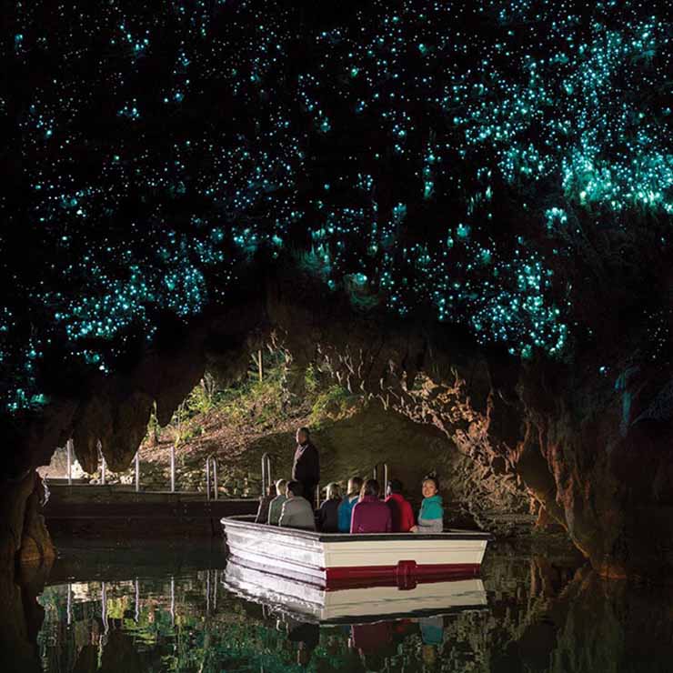 6. Động Waitomo Glowworm

Thị trấn Waitomo có nhiều đồi núi xanh tươi nhưng dưới đất với một hệ thống hang động và suối ngầm. Du khách đến thăm động Waitomo có thể nhìn thấy những khối thạch nhũ và măng đá khổng lồ được thắp sáng bởi đom đóm, tạo nên một thứ ánh sáng kỳ lạ.
