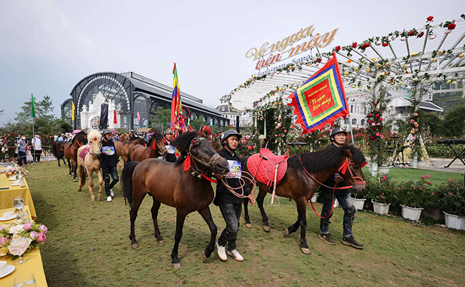 Mùa giải Vó ngựa trên mây tại Sapa