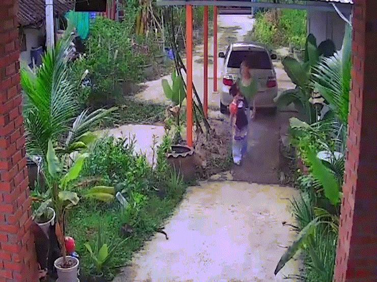 Phi thường - kỳ quặc - Video: Thấy rắn trườn qua trước mặt, người mẹ hoảng hốt bế con bỏ chạy