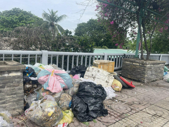 Rác đa số là rác vỏ rau củ, thùng xốp...có thể do những xe bán trái cây để lại
