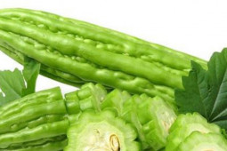 Ẩm thực - Mướp đắng có thể là ‘thần dược’ chữa nhiều bệnh, nhưng lại ‘đại kỵ’ với một số người