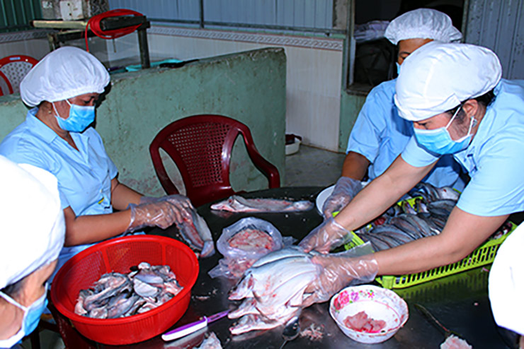 Khô cá thát lát, chả cá thát lát của các thương hiệu được bán trên thị trường với giá từ 180.000-330.000 đồng/kg
