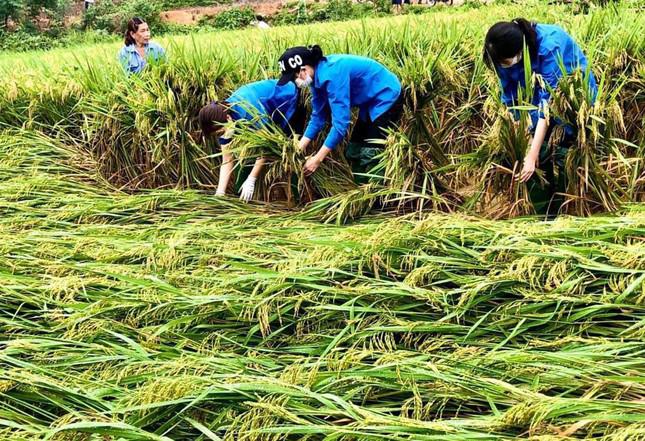 Ấm lòng hình ảnh thanh niên tích cực chung tay khắc phục hậu quả mưa lũ - 4