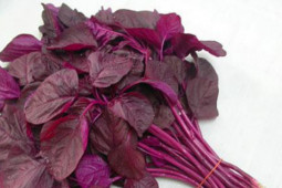 Ẩm thực - Mùa hè ăn rau dền mát bổ nhưng sẽ hóa "thuốc độc" nếu ăn theo cách này