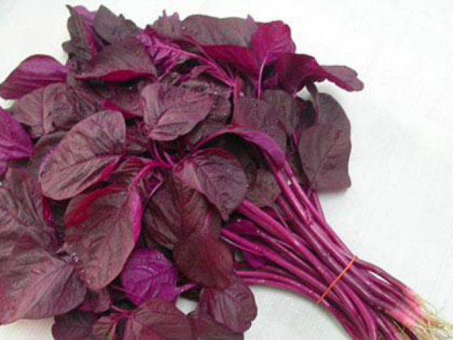 Ẩm thực - Mùa hè ăn rau dền mát bổ nhưng sẽ hóa "thuốc độc" nếu ăn theo cách này