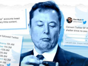Kinh doanh - Elon Musk tiếp tục bị kiện thao túng giá cổ phiếu Twitter