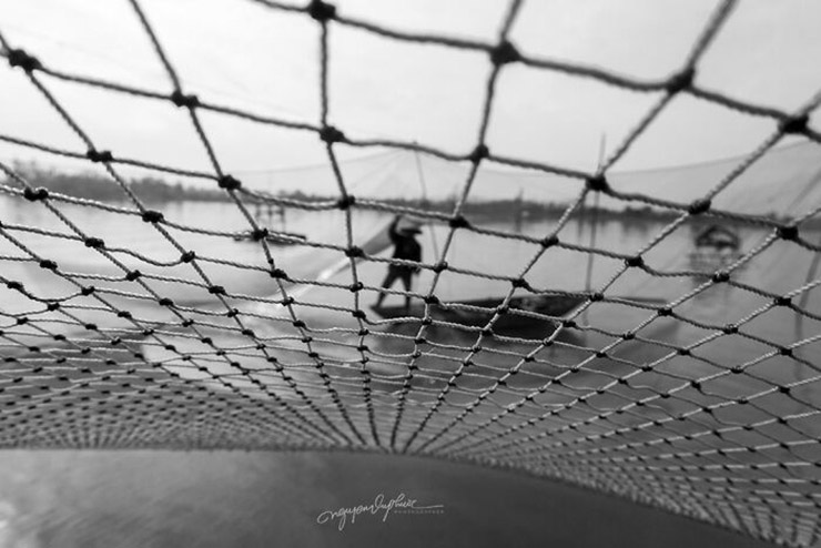 11. Khoảnh khắc khi những ngư dân kéo lưới dưới bình minh làm tôn lên nét đẹp lao động của những con người miền sông nước.
