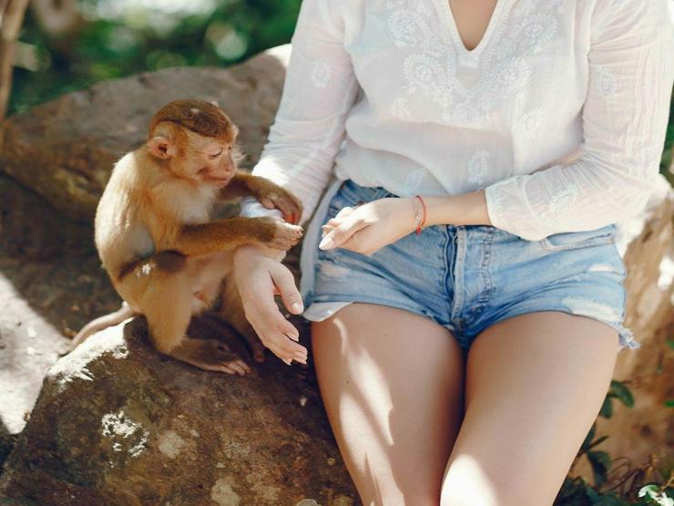 Bạn trẻ - Cuộc sống - Clip: Chú khỉ có hành động bất ngờ khiến cô gái “dở khóc dở cười”