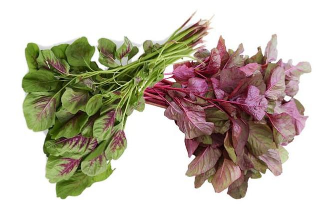 Eating amaranth is cool in the summer, but it will turn into "poison"  if eaten this way - 4