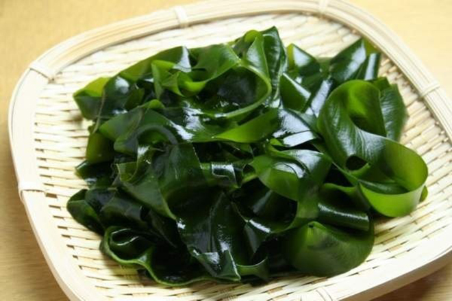 Tảo biển rất lành, tốt và có thể dùng làm thức ăn hàng ngày