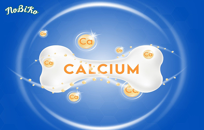 Canxi hữu cơ từ Tảo biển giúp hấp thu tối đa nhất