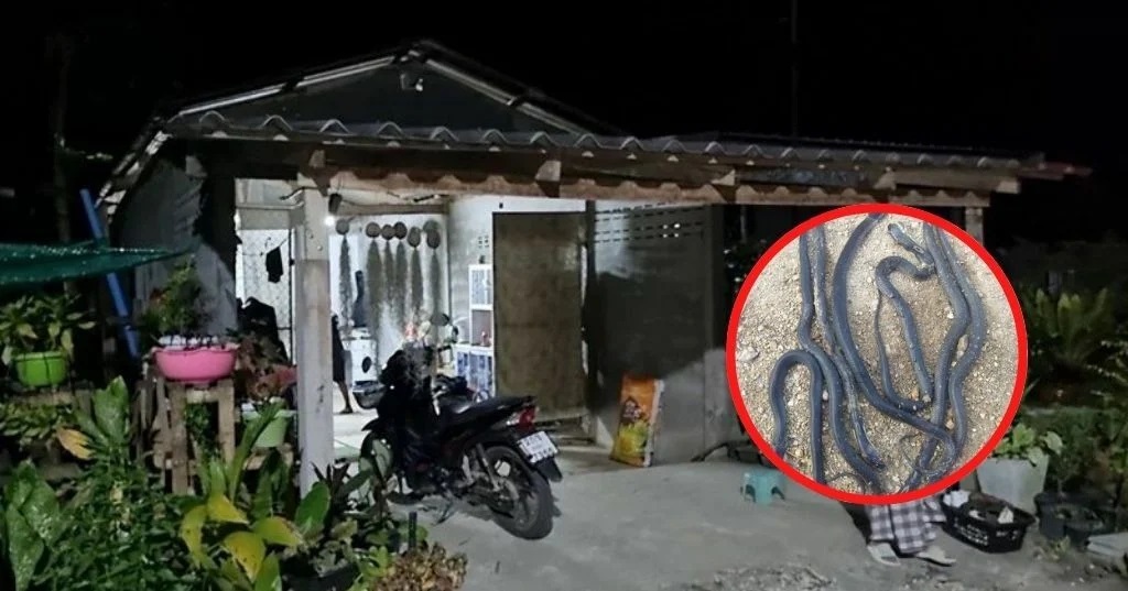 Ngôi nhà mà ông Eraman Mama cùng gia đình sinh sống. Ảnh: Assawin Pakkawan&nbsp;