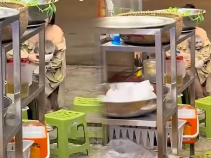 Bạn trẻ - Cuộc sống - Cô gái trẻ bị "ném đá" vì cho chó cưng ăn uống trong bát của quán như thượng đế